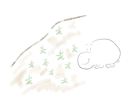 Seedlings By Ingofant