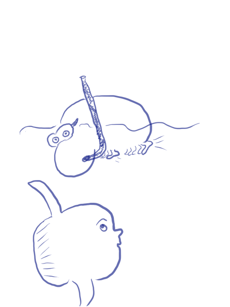 ingofants snorceling